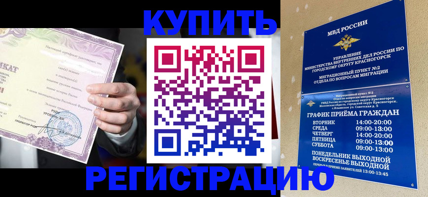 временная регистрация собственник в Котласе